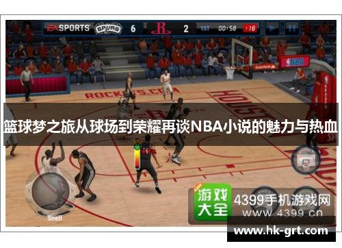 篮球梦之旅从球场到荣耀再谈NBA小说的魅力与热血